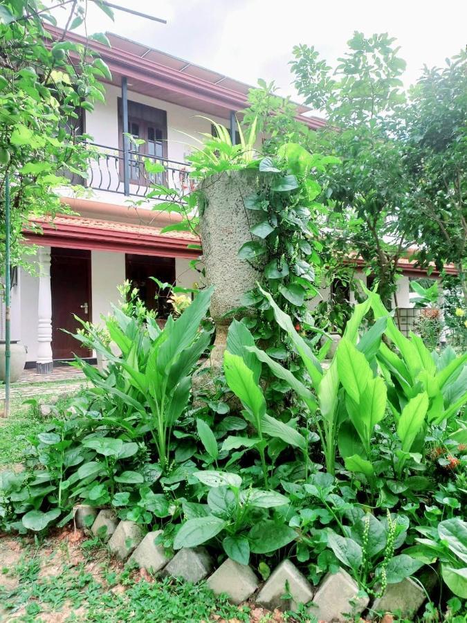 Dinu Lanka Resort Катунаяка Экстерьер фото