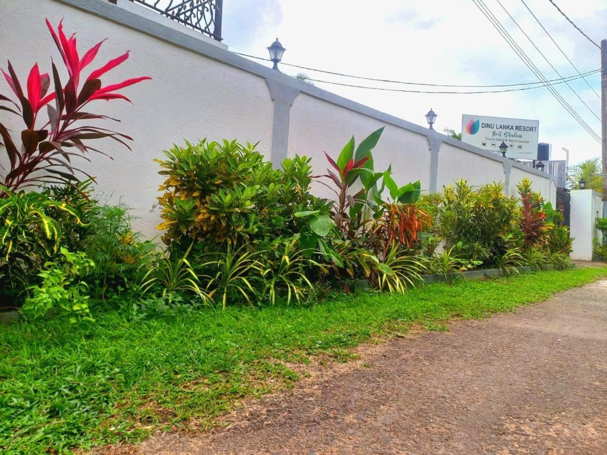 Dinu Lanka Resort Катунаяка Экстерьер фото