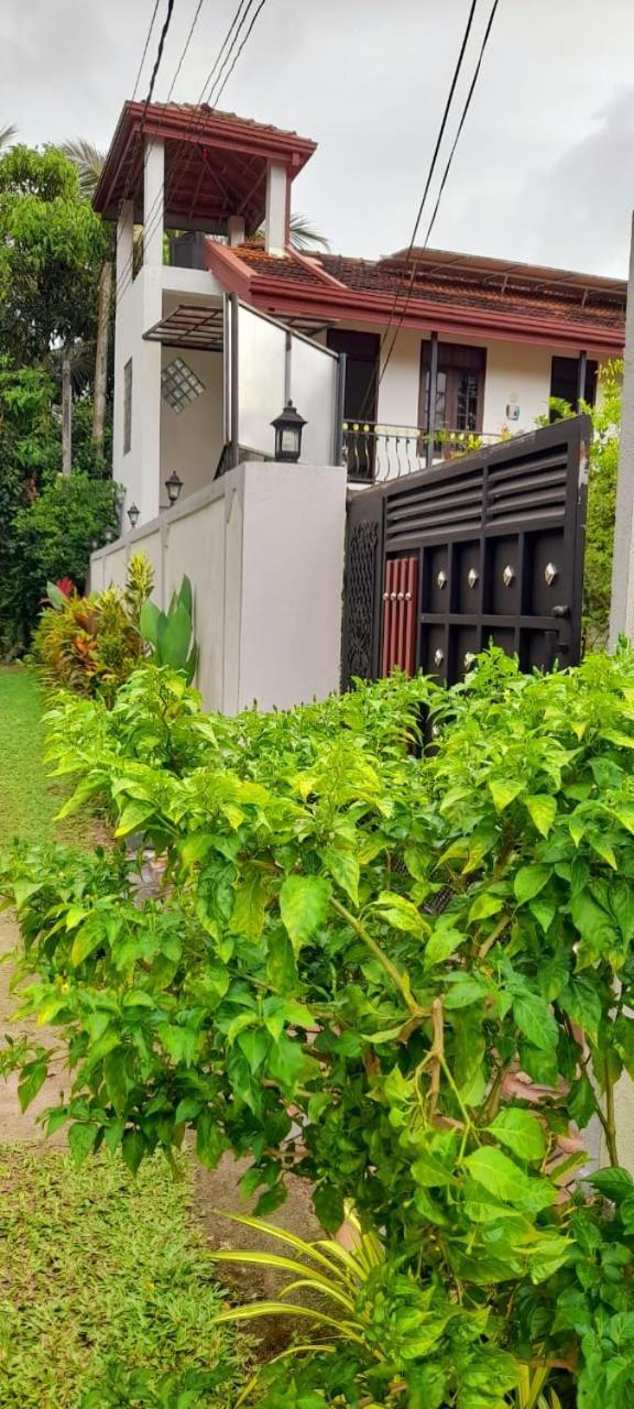 Dinu Lanka Resort Катунаяка Экстерьер фото